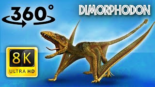 VR Jurassic Encyclopedia #2  - Dimorphodon dinosaur facts  360 Education