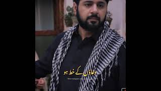 Raqas-e-bismil status ft falak tak chal sath mery | sarah khan video | new status | IG/@zilat_e_ishq