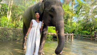 Mason Elephant sanctuary Bali