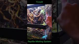 Reptile Misting System Installation