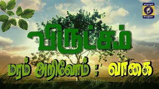 விருட்சம் | மரம் அறிவோம் :  வாகை    | 19  - 04 - 2019