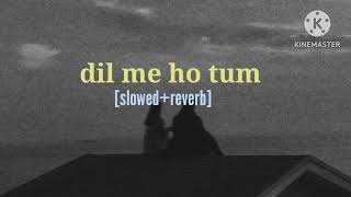 Dil me ho tum || slowed and reverb || #Arman malik || relaxing music🎶|| #cheat india ||#emranhasmi||