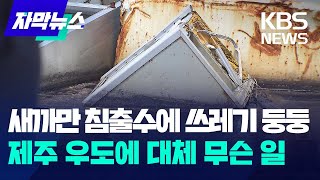 새까만 침출수에 쓰레기 둥둥…제주 우도에 대체 무슨 일 / KBS 2024.07.29.