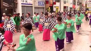 よさこい列伝2017・まいや（第64回よさこい祭り）【高知県高知市】（平成29年・2017）