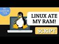 Linux RAM Check Script - Has Linux ate RAM?