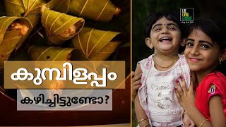 കുമ്പിളപ്പവും അൽപ്പം വീട്ടുവിശേഷങ്ങളും | COOKING \u0026 CHATTING WITH FAMILY | SPECIAL RECIPE | DEVU DIYA