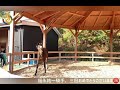 【tcc】レッドライヤ丸馬場初放牧🌳【horse shelter】引退競走馬2020.11.21