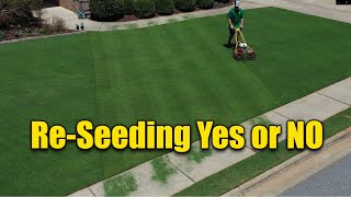 Reseeding Lawns - Does and Don'ts