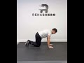 Bird Dog - low back and core strengthening exercise