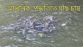 পুকুরে আধুনিক পদ্ধতিতে মাছ চাষ | মাছওয়ালা The Fisherman