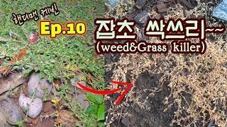 핸디맨 케빈 EP 10 Weed \u0026 Grass Killer (잡초약, 잡초 죽이기)