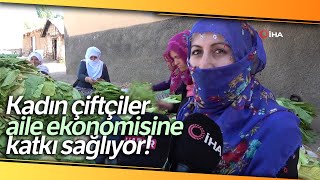 Muş’ta Kadınlar Çiftçilikle Aile Ekonomisine Katkı Sağlıyor