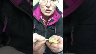 SCARICA APRIRE SELLA BEVERLY BATTERIA