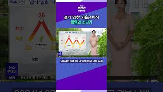 절기 '입추' 가을은 아직…폭염과 소나기 #대구mbc