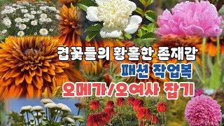 겹꽃들의 황홀한 존재감 | 6월 정원을 빛내주는 꽃 | 꽃향기정원사의 작업복 패션화 | 서해안 일몰 뷰 맛집