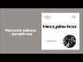 mieczysław kosz marzenie miłosne paraphrase official audio