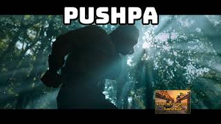 Khiladi, Pushpa music copied by DSP
