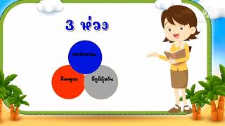 วิชาหน้าที่พลเมือง เรื่องการนำหลักปรัชญาเศรษฐกิจพอเพียงมาใช้ในชีวิตประจำวัน (11 พ.ย.64)