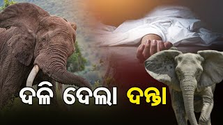 ଦଳି ଦେଲା ଦନ୍ତା  | Odisha Reporter