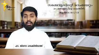 സക്കേവൂസിന്റെ മരംക്കയറ്റം (ലൂക്കാ:19:1/10) അനുദിന വചനവിചിന്തനം