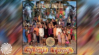 Hilight Tribe - GregDidge