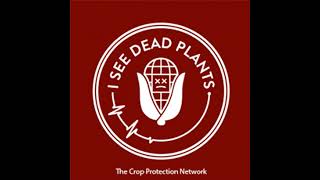 (S3:E38) Agents of Dread: Corn Stunt Disease and The Corn Leafhopper Part 1