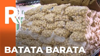 Batata com preços em queda: entenda o que está por trás dessa mudança