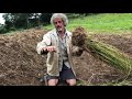 vetiver grass planting on new swale what how u0026 why with tom kendall