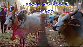 சக்குடி ஜல்லிக்கட்டு 2022 PROMO#jallikattu#sakkudi#2022