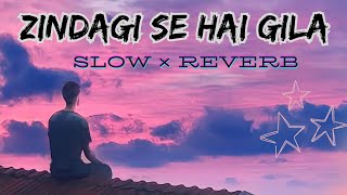 Zindagi Se Hai Gila [Slow+Reverb] | Sahir Ali Bagga Song #song #sahiralibagga #lofi