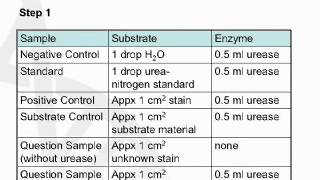 DNA Analyst Training : Bio Screening : Body Fluids