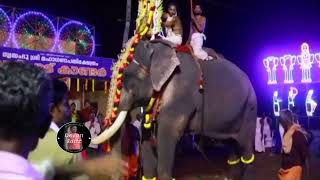 Pallickal Sree Ganapathi temple  l പള്ളിക്കൽ സ്വയംഭൂ ശ്രീ മഹാ ഗണപതി ക്ഷേത്രം