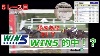 【WIN5的中⁈】ガチ競馬 WIN5で勝負してみた！ 2019年9月15日（日）【競馬に家賃分賭けた】