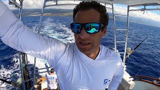 Steady Action in Hawaii