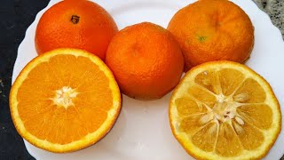 Sweet vs Bitter Oranges (Citrus x sinensis vs C. x aurantium) - two very different fruits