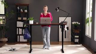 Height Adjustable Electric Standing Desk