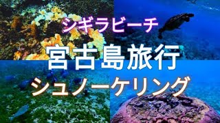 シギラビーチでシュノーケリング🐡_2024年11月|宮古島|シギラリゾート