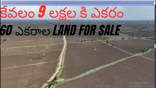 KODANGAL కి అతి దగ్గరలో 9 లక్షల కి ఎకరా 60 ఎకరాల Land for SALE