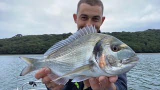 Sea Fishing UK - Bass, Gilthead Bream and a few surprises!!