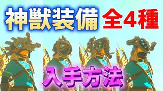 神獣装備「全4種」の入手方法　神獣兵装・メドー、ルーダニア、ルッタ、ナボリス　ミニチャレンジ　攻略　ゼルダの伝説　ティアーズ オブ ザ キングダム　ティアキン