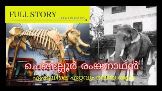 Chegallur Ranganathan, the tallest elephant of Asia, full life story