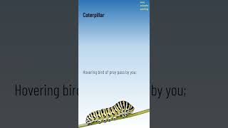 Caterpillar (by Christina Rossetti)