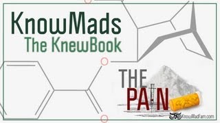 KnowMads ∞ The Pain ∞ The KnewBook (2012)