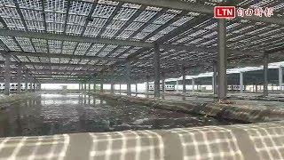 投資4億！全台最大漁電共生室內養殖場今啟用