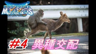 【テリーのワンダーランドSP】星降りの祠へ交尾しに行きます【ドラゴンクエストモンスターズ】＃4