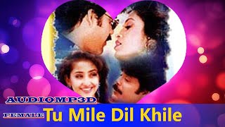 3d Songs।।Tu Mile Dil Khile Female Version| Criminal | Alka Yagnik, Kumar Sanu | M. M. Keeravani