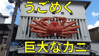 【巨大】【生物】ガサガサ動くカニ