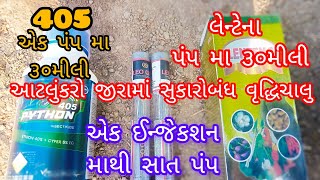 જીરામાં સુકારો બંધ વુદ્ધિ ચાલુ આટલું કરો | Jira ki kheti kaise kare | જીરામાં દરેક રોગો નુ નીયનતરણ