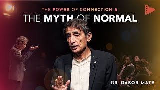 Dr. Gabor Maté: The Myth of Normal & The Power of Connection | Wholehearted