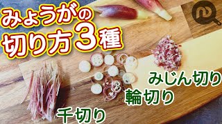 みょうがの切り方3種　千切り・輪切り（小口切り）・みじん切り　N.D.Kitchen Basic